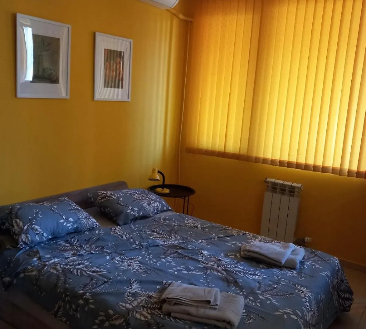 Snezhi'S Cozy Studio 索菲亞